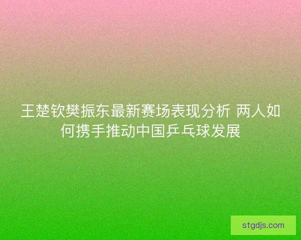 王楚钦樊振东最新赛场表现分析 两人如何携手推动中国乒乓球发展