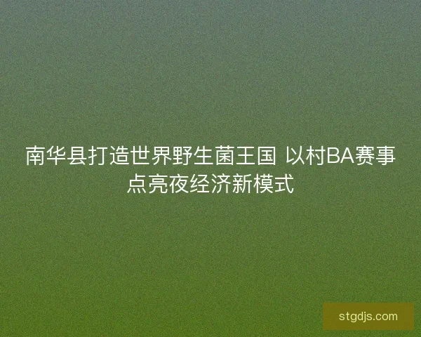 南华县打造世界野生菌王国 以村BA赛事点亮夜经济新模式