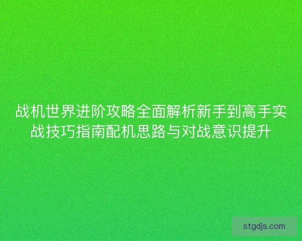 战机世界进阶攻略全面解析新手到高手实战技巧指南配机思路与对战意识提升 战机世界进阶攻略全面解析新手到高手实战技巧指南配机思路与对战意识提升